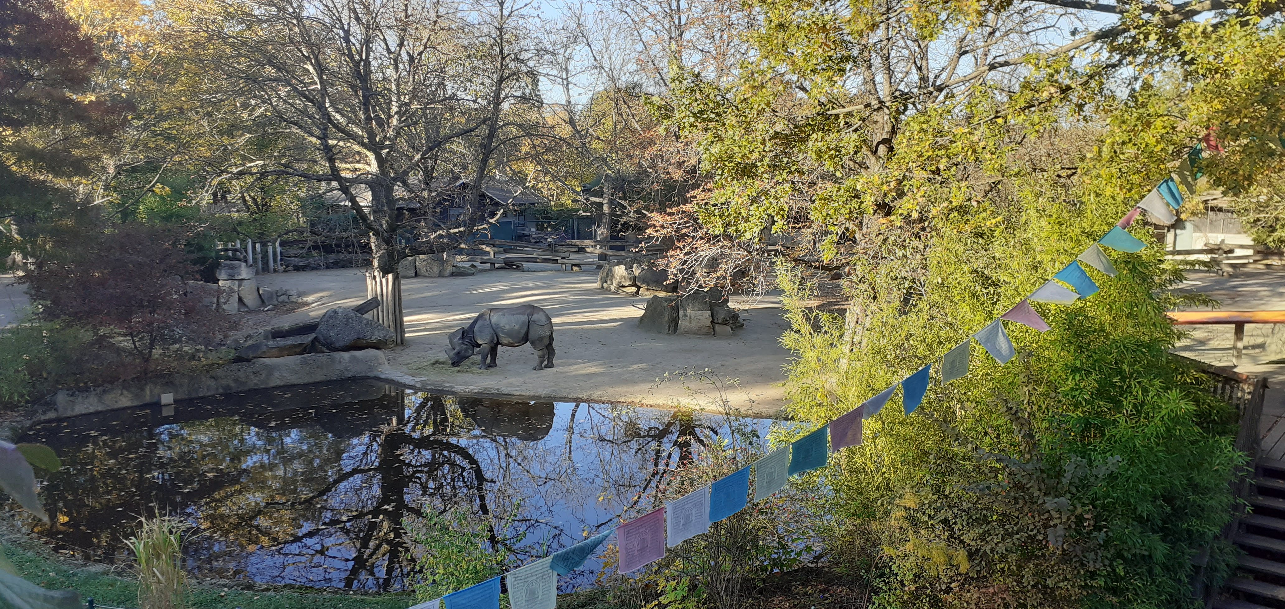 Zoológico del Schönbrunn