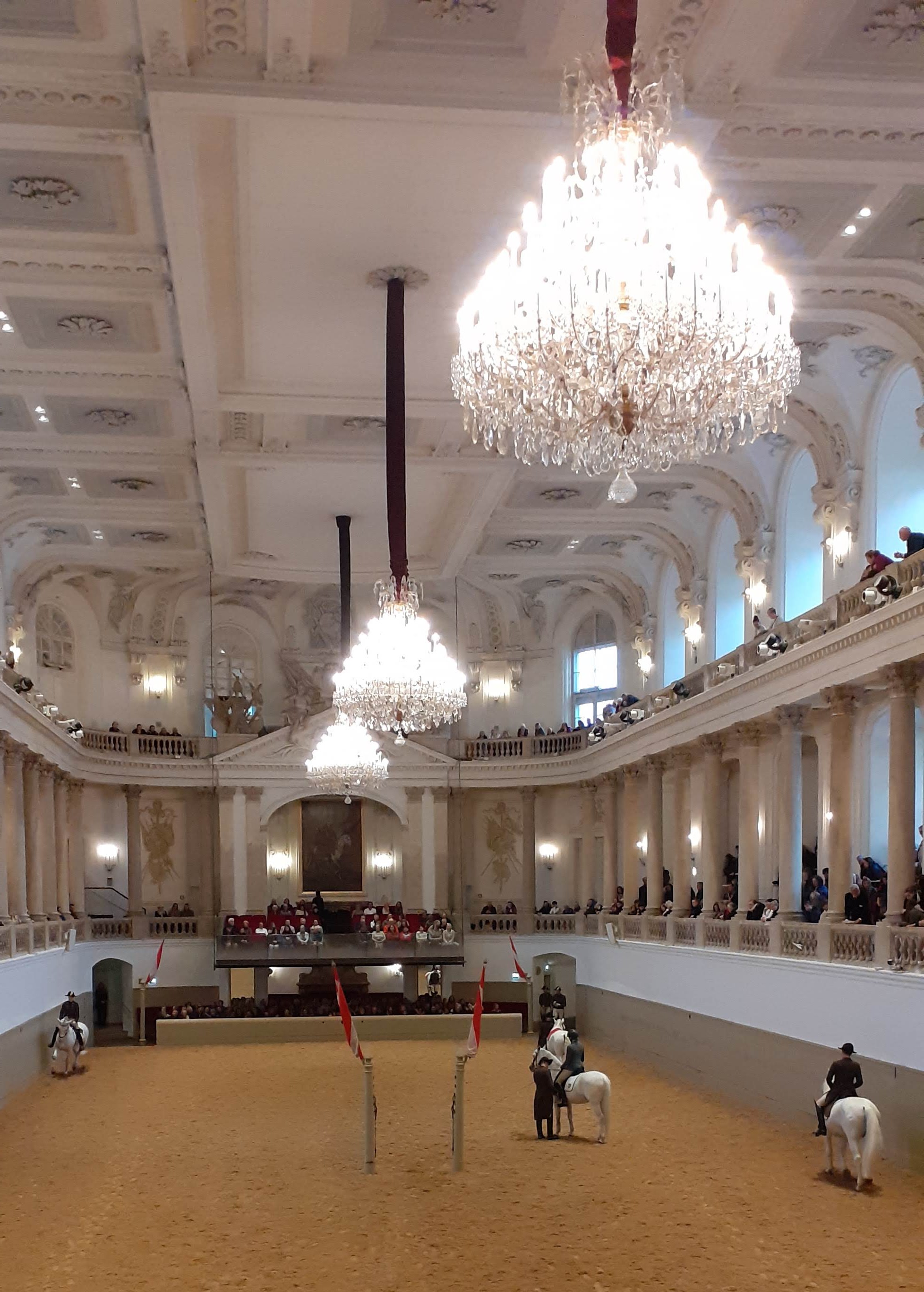 Caballos