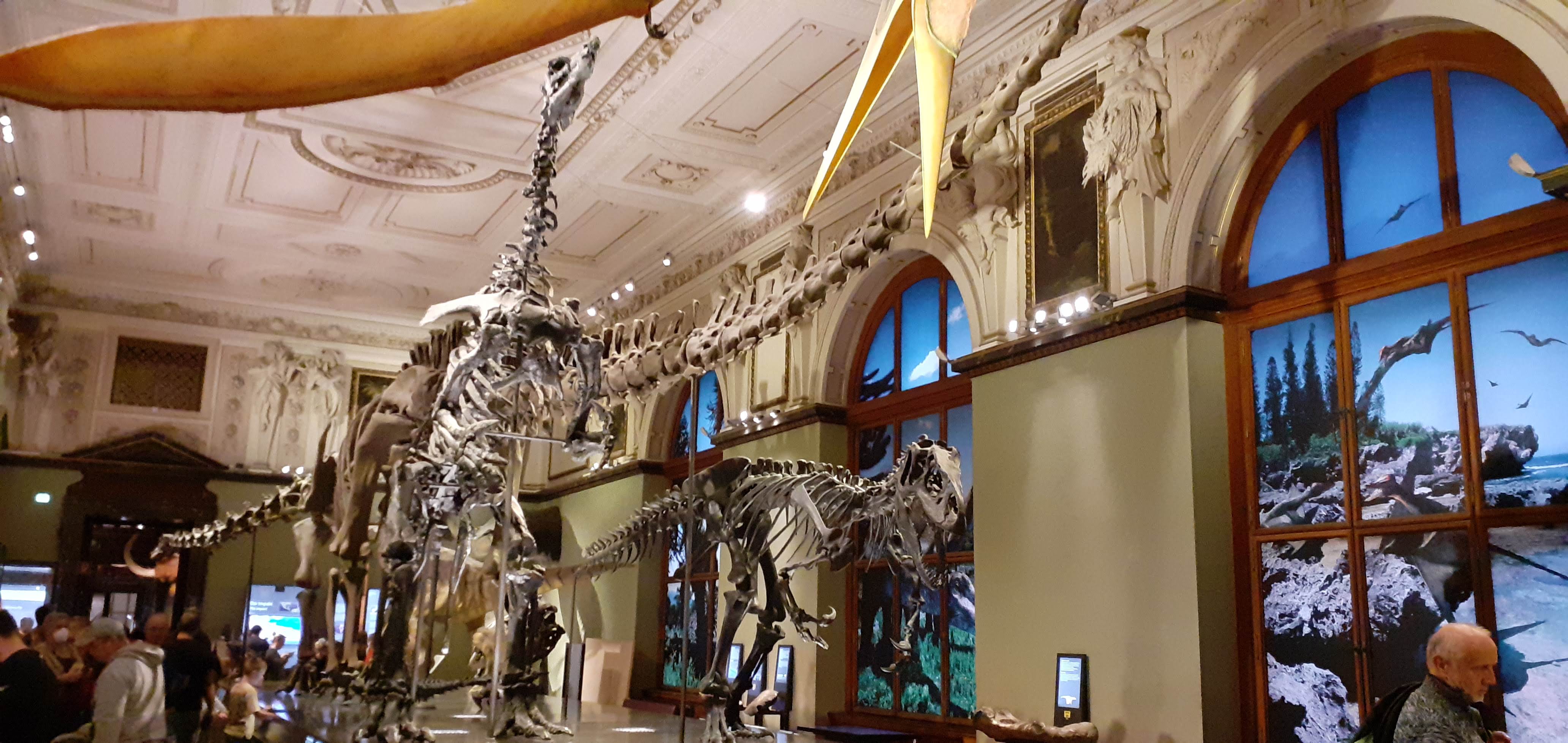 Museo